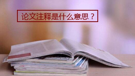 論文注釋是什么意思