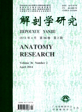 解剖學(xué)研究雜志