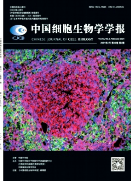 中國細胞生物學學報是什么級別