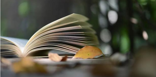 論文指標是什么意思