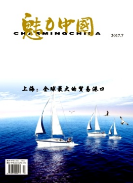 魅力中國雜志是什么級別期刊