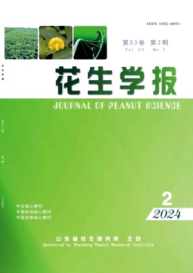 W(xu)(bo)