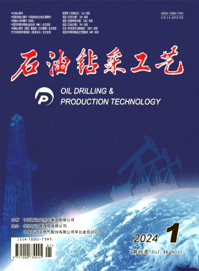 石油鉆采工藝